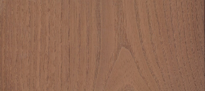 acacia header.jpg